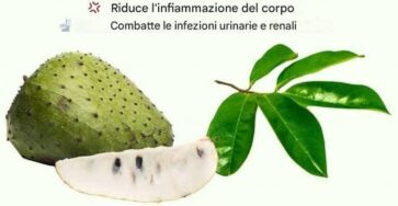 graviola benefici salute