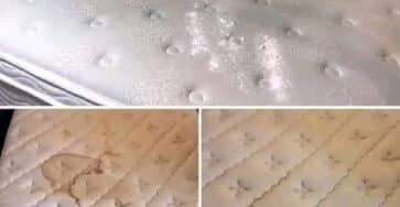 ingredienti segreti macchie