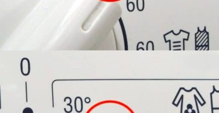 lavaggio vestiti 40 gradi