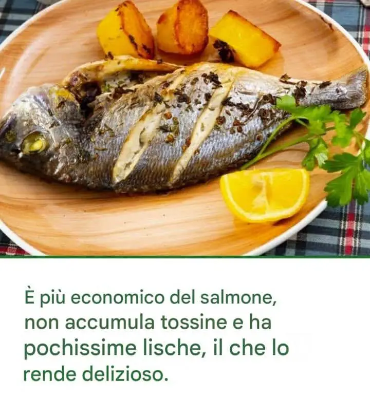 modesto disponibile unico economico