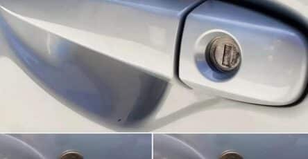 moneta portiera significato