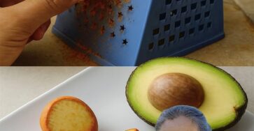 nocciolo dell’avocado benefici