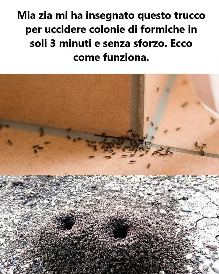 non aspettare di uscire