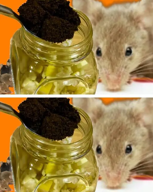 odore repellente per roditori