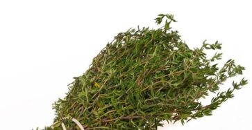olio essenziale cancro polmoni