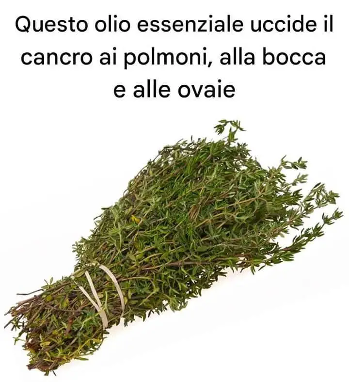 olio essenziale cancro polmoni