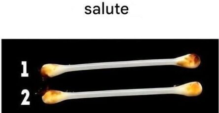 orecchie salute rivelano vero