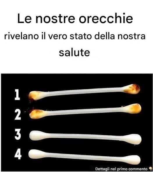 orecchie salute rivelano vero