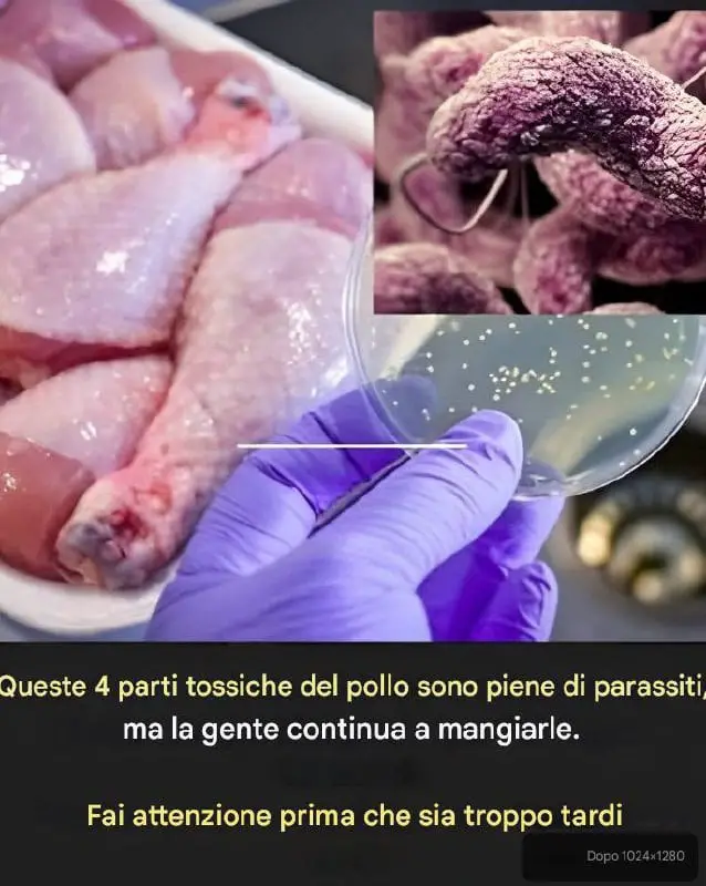 parti tossiche pollo