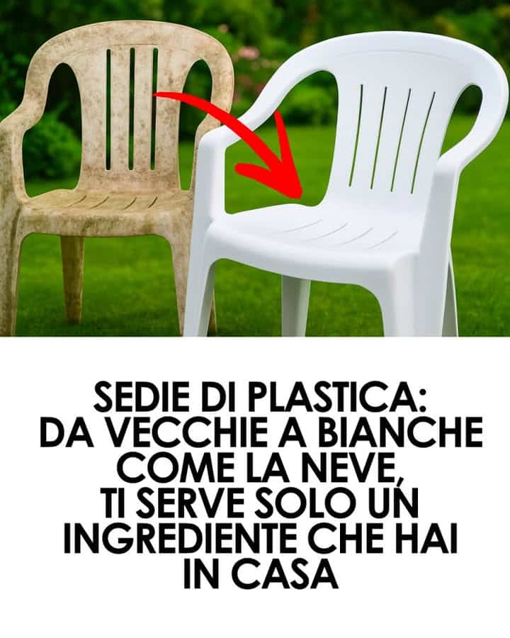 plastica bianca pulita