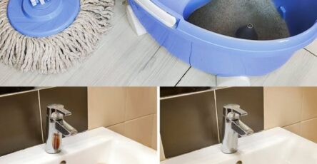 pulizia bagno polmoni