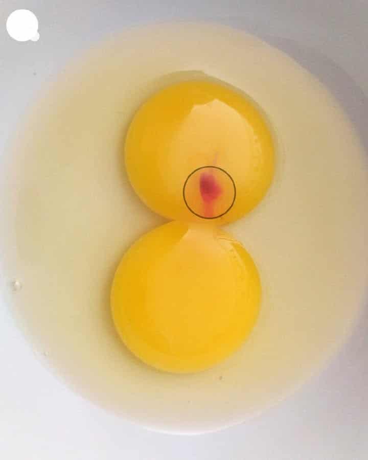 puntino rosso nelle uova