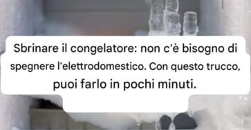 sbrinare congelatore senza staccare