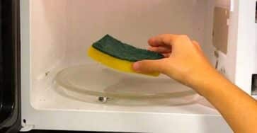 spugna pulita in microonde