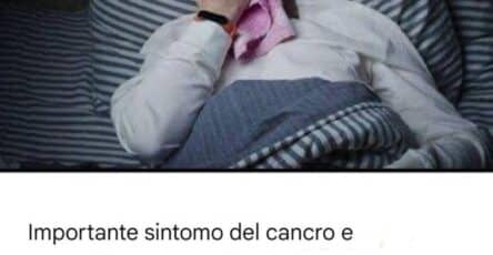 testa della luna