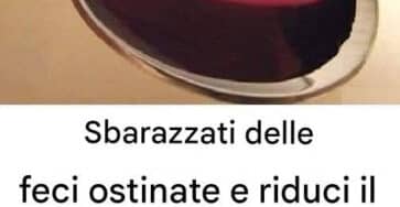 1️⃣ cucchiaio sciogliere feci