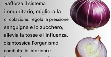 Acqua di cipolla salutare