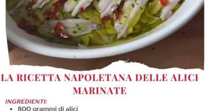 Alici marinate napoletane
