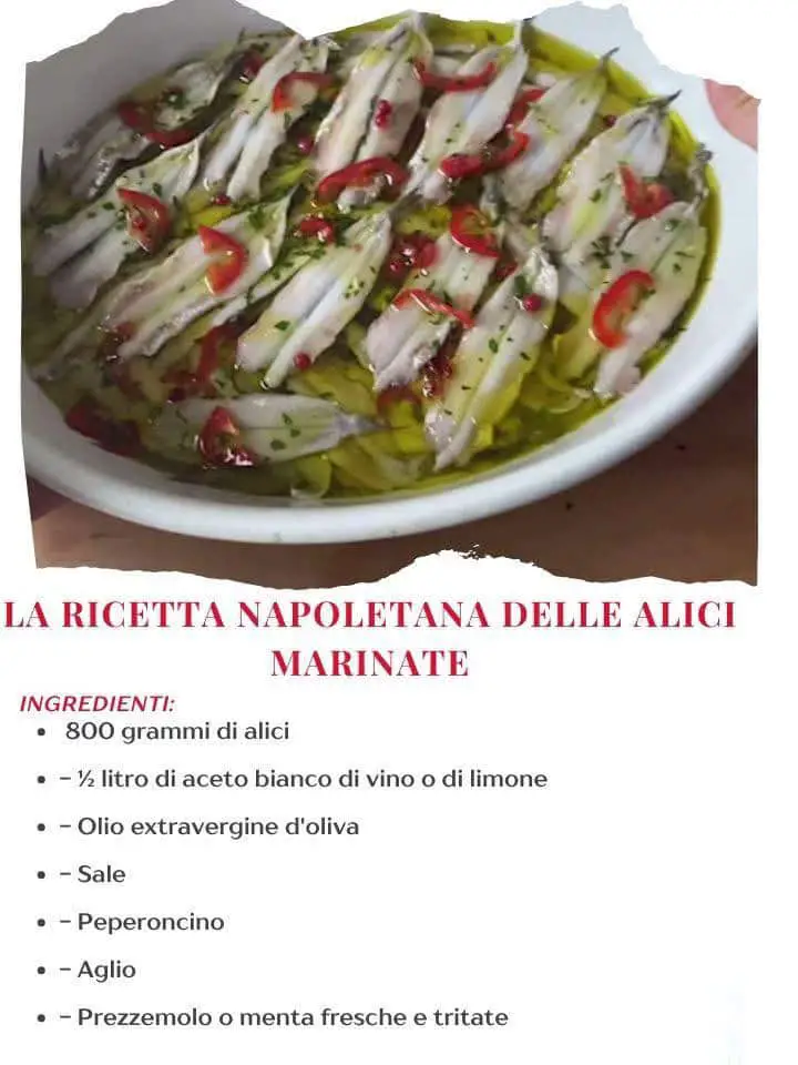 Alici marinate napoletane