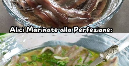 Alici marinate perfette