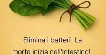 Alimenti depurativi corpo