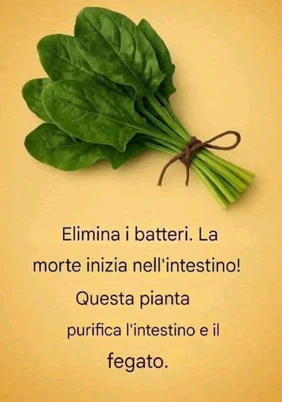 Alimenti depurativi corpo