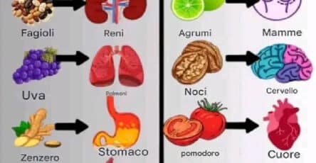 Alimenti sani e curativi