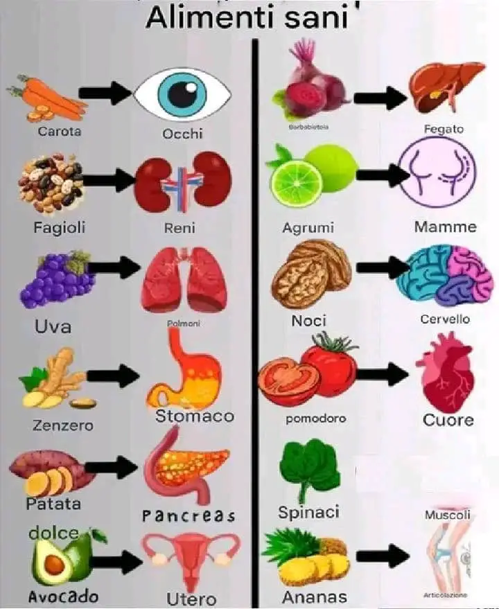 Alimenti sani e curativi