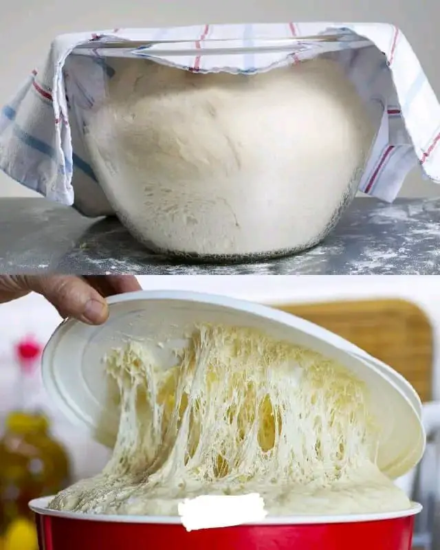 Alternativa al lievito