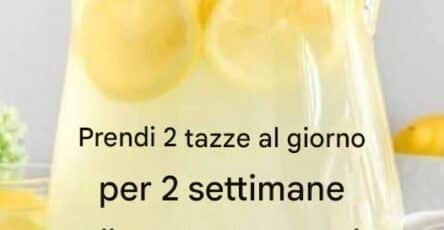 Bevanda dimagrante buonissima