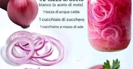 Cipolle rosse sott'aceto ricetta