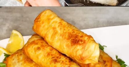 Fillo fritti ripieni