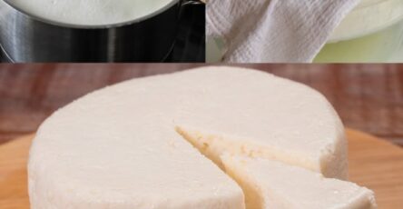 Formaggio fatto in casa