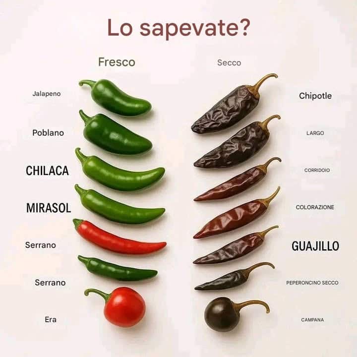 Fresco o secco