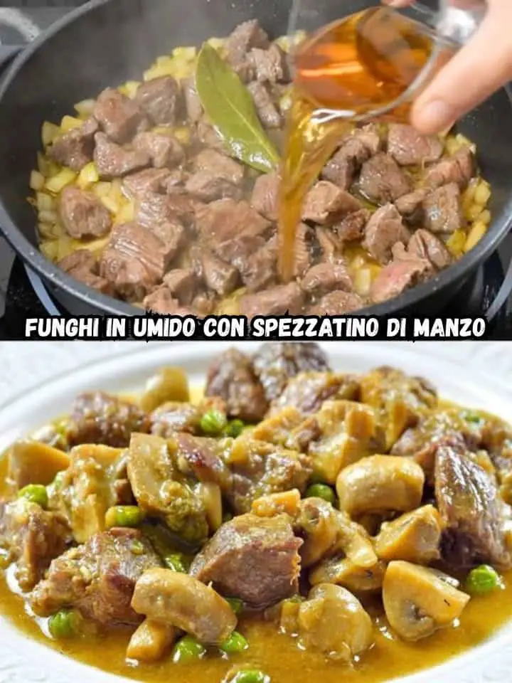 Funghi in umido manzo