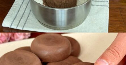 Gelatina al cioccolato light