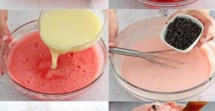 Gelato all'anguria fresco