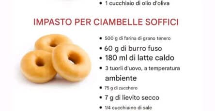 Impasto per pizza elastico