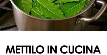 Insetticida naturale fai da te