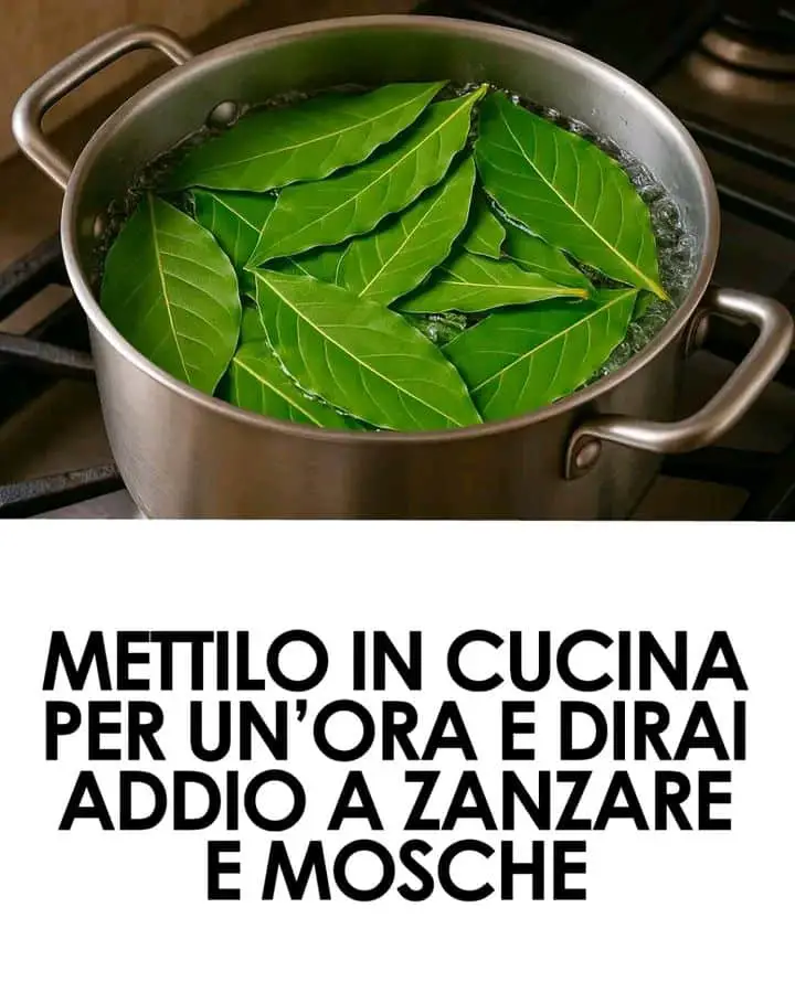 Insetticida naturale fai da te