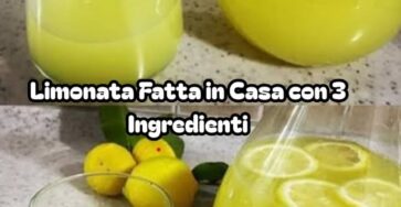 Limonata fresca e semplice