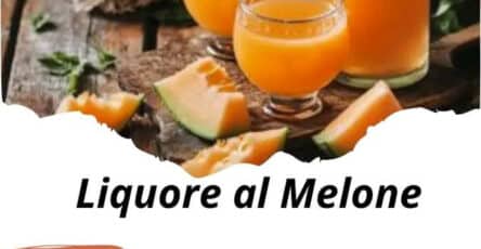 Liquore al melone estivo