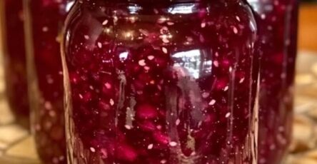 Marmellata di mirtilli rossi