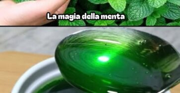 Menta fresca in cucina