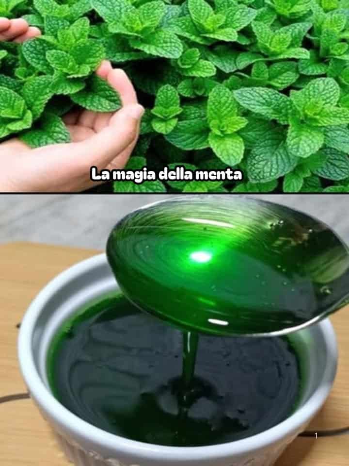 Menta fresca in cucina