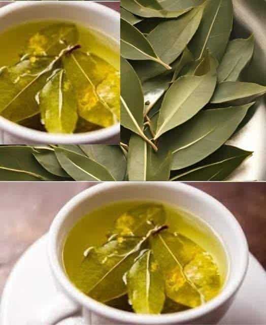 Mettilo in casa tua