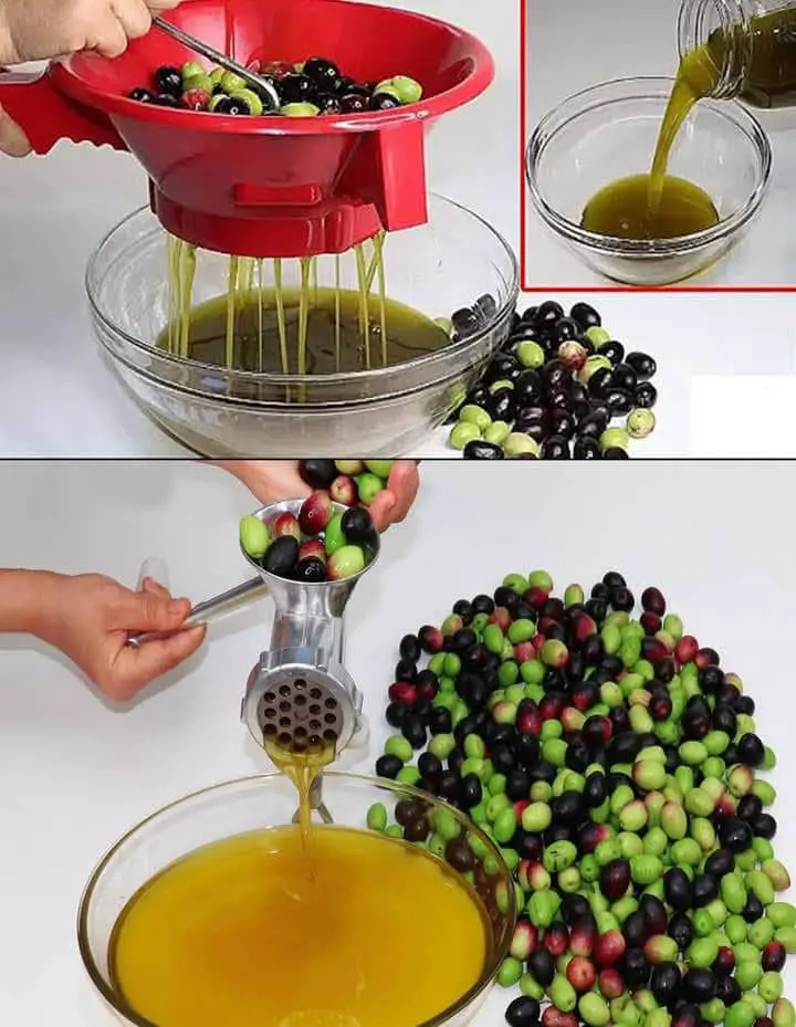 Olio d'oliva fatto in casa