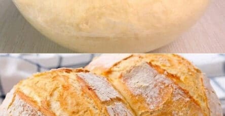 Pane artigianale facile