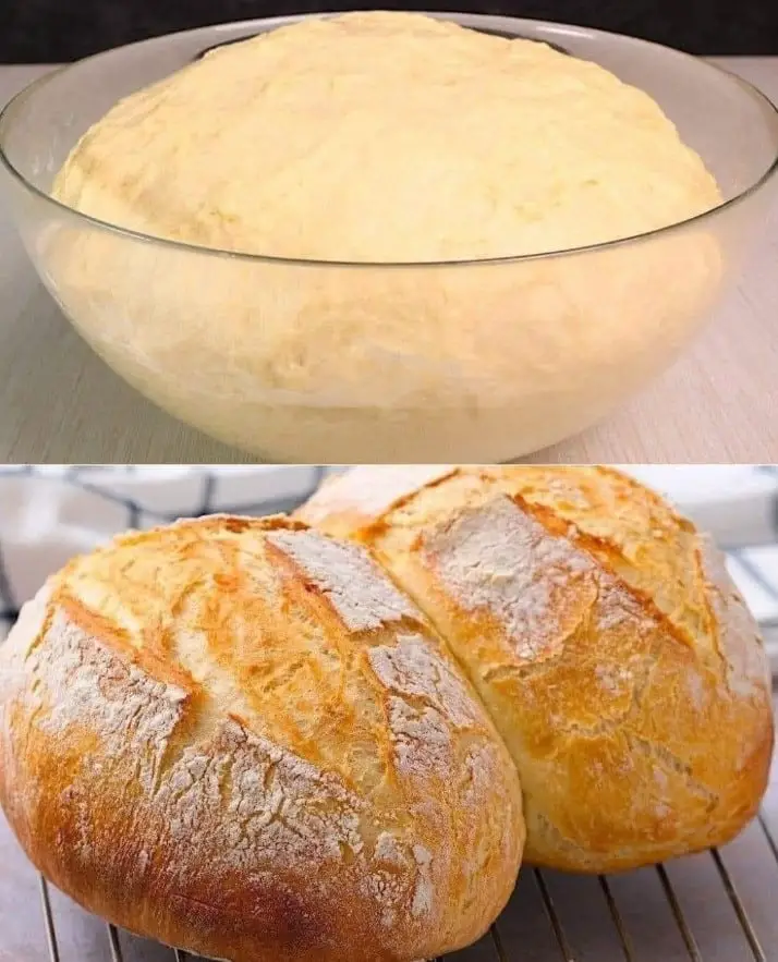 Pane artigianale facile