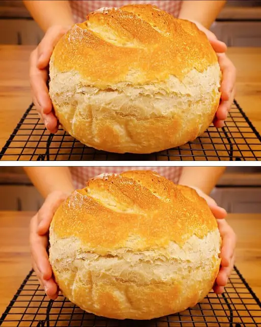 Pane in 5 minuti